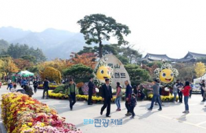 ‘2017 월출산 국화축제’ 첫 주말에 16만여 명 방문
