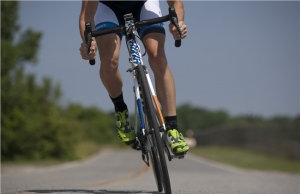 가을정취 물씬 느낄 수 있는, 경기도 트레킹 명소 5선