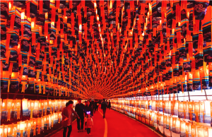 양날의 검인 축제 유료화