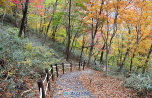 광양 백운산 등산로 정비, 등산객들 ‘큰 호응’