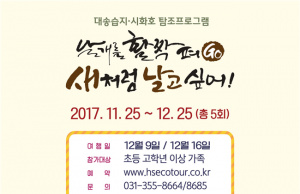 철새탐조하러 경기도 대송습지로 떠나자!