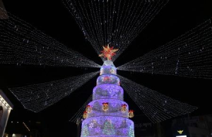 부산 크리스마스 트리문화축제 12월 2일부터 환하게 불 켠다