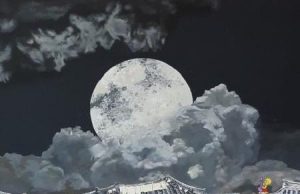 ‘심슨, 한국에 놀러오다!’ 해남 공룡박물관 심슨 팝아트 전시 개최