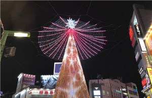 아시아 최고의 겨울 ‘빛 축제’가 되다.. 제9회 부산 크리스마스트리문화축제