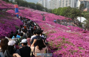 2018 경기관광축제에 ‘군포철쭉축제’ 선정