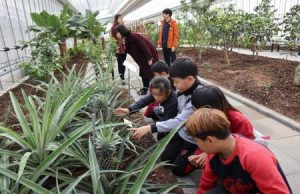 영동 과일나라 테마공원 내 ‘세계 과일 조경원’ 본격 운영