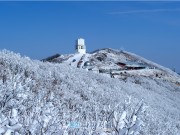 영천 보현산 별빛축제, 경북 지정 우수축제 선정