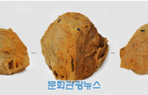 대가야의 대외교류 유물 고령 지산군 고분군에서 확인, 16일 설명회