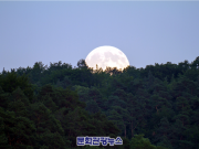 슈퍼 블루문 개기월식, 31일 밤 22시 59분께 절정.. ‘슈퍼문, 블루문, 블러드문을 한번에’