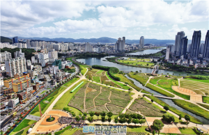 울산 관광 유치 활성화 위해 마케팅 인센티브 대폭 확대