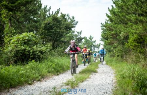 신안군 자전거 코스 ‘천도천색 천리길’ 500㎞로 더 길어져