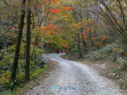 은어잡기, 증기기관차 타기, 전통쌀엿 만들기.. ‘곡성 한바퀴’ 상품 올해도 운영