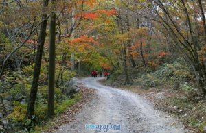 은어잡기, 증기기관차 타기, 전통쌀엿 만들기.. ‘곡성 한바퀴’ 상품 올해도 운영