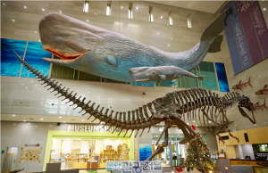 한국관광공사가 추천하는 2월에 가볼만한 곳