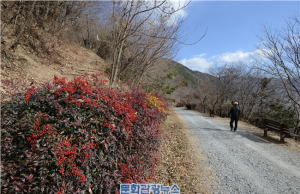 올 3월, 한국관광공사가 추천하는 걷기여행길