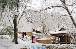 담양군, 죽녹원 등 주요 관광지 설날 당일 무료 개방