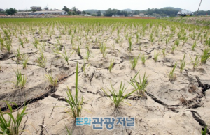 정부, 가뭄대책 전담팀 중심 봄 가뭄 선제 대응