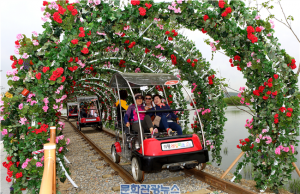 경기관광공사 추천, 실패없는 봄꽃 인증 여행