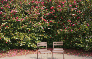 인터파크투어, 제주 여행상품 특가전 실시 ‘제주도로 가즈아~!!’