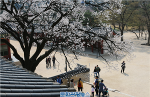 문화재청, 3월 30일~4월 5일 덕수궁 전각 내부 특별 공개