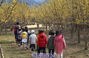 17일부터 구례 산수유꽃 축제 개막.. ‘꽃길 따라 봄 마중 오세요’