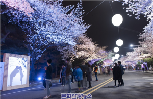 렛츠런파크 서울, 전시에 벚꽃축제까지.. 문화공간으로 거듭난 경마장