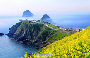 “부산에서 알록달록 꽃길 걸어요” 부산관광공사, 4월 가볼만한 곳 선정