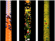 부산 용두산공원 ‘부산타워 미디어파사드’ 오는 19일부터 상시운영