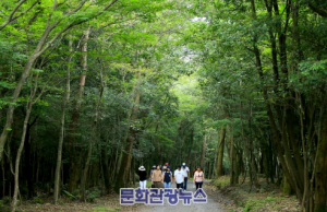 제주 서귀포시, 안전하고 쾌적한 명품 숲길 조성