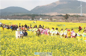 제주유채꽃축제