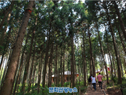 문체부, ‘2018 열린관광지’ 조성 지원대상 12개 선정