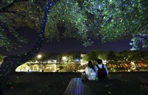 ‘담양대나무축제’와 함께하는 인문학투어 ‘별빛여행’ 신청하세요