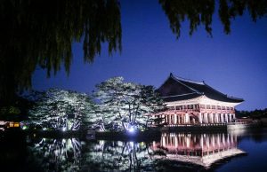 ‘경복궁 별빛야행’, 밤의 궁궐을 거닐다