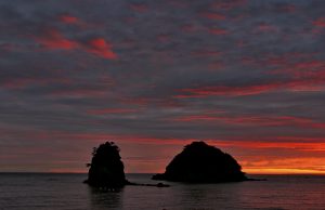 한국관광공사가 추천하는 4월에 가볼만한 곳