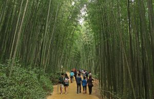 담양군 전 지역 ‘무등산권 유네스코 세계지질공원’ 등재