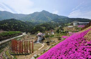 문체부, ‘웰니스 관광 클러스터’ 대상 지역으로 경상남도 선정