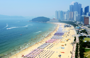 여름! 부산 해수욕장에서 안전하게 놀자