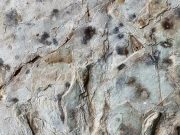 울주 반구대 암각화 일대 공룡발자국 화석 확인