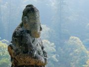 문화재청, 문화재보호법 일부개정