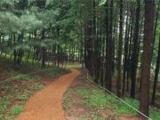 인천시, 연희공원 산림 치유 프로그램 운영