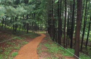 인천시, 연희공원 산림 치유 프로그램 운영