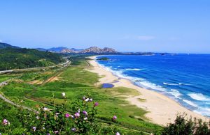 문체부, 정전협정 65돌 맞아 DMZ 접경지역 관광 활성화 통합 홍보 지원