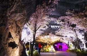 푸짐한 경품이 기다리는 경기 서남부로 여름휴가 떠나자!