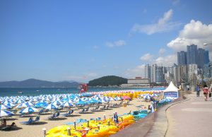 해운대해수욕장 야간개장 연장