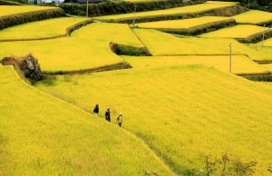 “한국관광공사가 추천하는 10월에 가볼만한 곳”