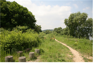 가을, 아이들과 함께 한강에서 생태체험 즐겨요