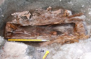 몽골 파지릭 고분, 인골·순장 말 등 다양한 유물 발견