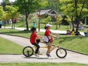 청동기 문화의 중심지 ‘마한과 백제’로 떠나는 시간여행
