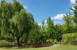 여의도공원 2,9km 외벽 허물고 바람길 조성