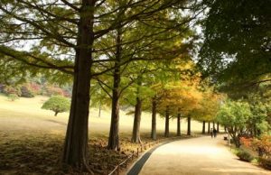 기차타고 가을을 만끽하러 떠나자